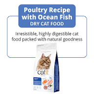 cat nourishing meal
