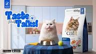 cat nourishing meal