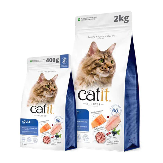 cat nourishing meal