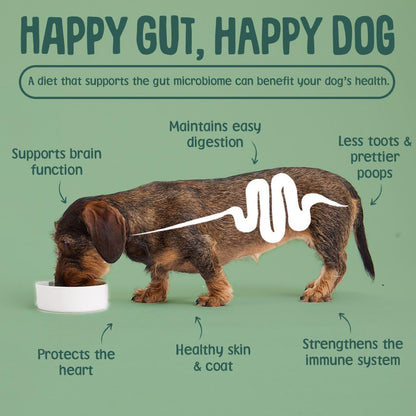Scrumbles Softies for Dog